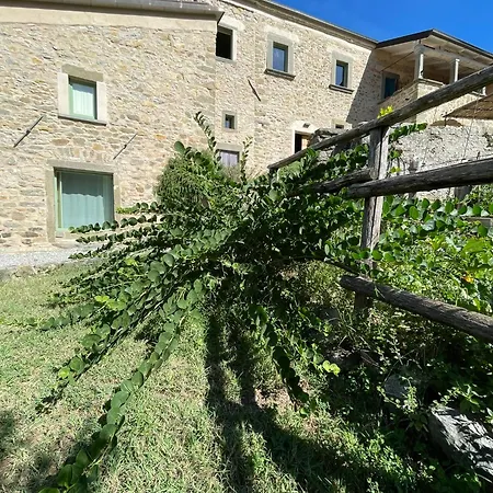 Encanto Di Arlia-2